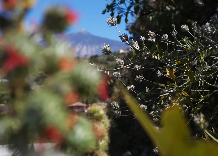 Appartement La Casa De Rita