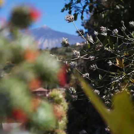 公寓 La Casa De Rita